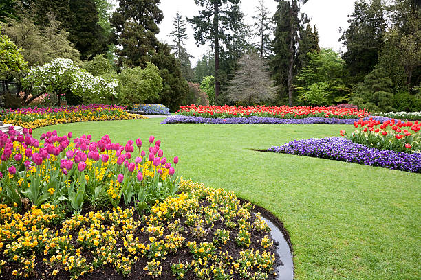 Edwardsville IL Landscaping